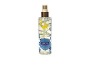 Körperpflege - Beverly Hills Polo Club No. 2 Classic Fougere, Body Spray, 200 ml - 6291107164267