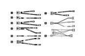 SATA Kabel - Lenovo SATA / SAS cable kit - 4X97A82939