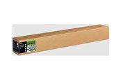 Druckerzubehör - Tinte & Toner - Epson Fine Art Cotton Textured Natural 44" x 15m - C13S450279NQ