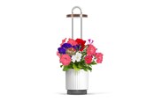 Gartengeräte - Click & Grow HydroVase Grow Fresh Plants Indoors All Year Round with LED Lighting and Self-Watering System - White - CGHVWEU