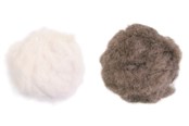 Katzen - Jolly Paw Plüsch-Spielbälle mit Glöckchen & Katzenminze 3cm (2er-Pack) - JP34107