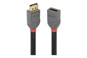 Display Kabel - Lindy Anthra Line - DisplayPort extension cable - DisplayPort to DisplayPort - 2 m - 36497