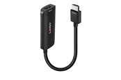 Display Kabel - Lindy adapter - 15.7 cm - 38327