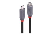 USB Kabel - Lindy Anthra Line - USB-C cable - 24 pin USB-C to 24 pin USB-C - 2 m - 36958