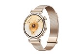 Smartwatches, Pulsuhren, Sportuhren & Schrittzähler - Huawei Watch GT 6 41mm - Gold - 55020FTP