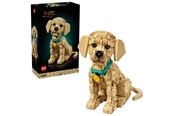 LEGO® - LEGO Icons 11384 Golden Retriever Welpe - 11384