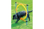 Hunde - Pawise - Agility Ring 55Cm - 636.9004