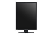 Bildschirm - 21" EIZO RadiForce MX217-SB - 1200x1600 - IPS - MX217-SB