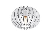 Lampen - EGLO STELLATO DECKE Ø300 WEISS - 95028