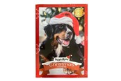 Hunde - Treat Time Weihnachts-Adventskalender für Hunde - 61000