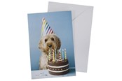 Hobby-Zubehör - SCANSEASON Card with envelope dog with cake 11*17cm - 100253