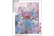 Hobby-Zubehör - CENTRUM Diamond Painting 40*50cm. FLOWERS - 80902