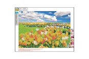 Hobby-Zubehör - CENTRUM Diamond Painting 30*40cm. Tulip field - 89757