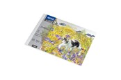 Hobby-Zubehör - SPREE Drawing pad 350g. 10 sheets. A5 210*150mm. - 41915