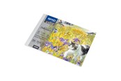 Hobby-Zubehör - SPREE Drawing pad 350g. 10 sheets. A6 150*100mm. - 41916