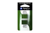 Kunst & Handwerk Ausstattung - Daler-Rowney Aquafine HP Sap Green/Olive Green - 16-131017016