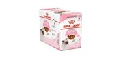 Katzen - Royal Canin Kitten in Gravy 85g (12-Pack) - 9003579308745