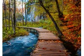 Puzzle - Ravensburger Autumnal wood trail (1000) - 12001764