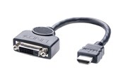 Display Kabel - Lindy adapter - 20 cm - 41227