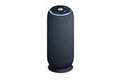 Tragbare & Party-Lautsprecher - Motorola moto sound flow - PANTONE Carbon - PG38C07843