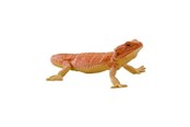Figuren - Mojo Wildlife Bearded Dragon - 381096