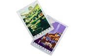 Merchandise - Weta Workshop - The Lord of the Rings - Rivendell & Hobbiton Tea Towel Set of 2 - Handtuch - 9420024727744