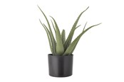Einrichtung - Bloomingville Aloe - 82061499
