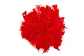 Kunst & Handwerk Ausstattung - Colorations - Red Feathers 25 grams - CHREDF25