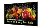 Digital Signage & Hotel - Philips 55BDL5050D 5000 Series - 55" Class (54.6" viewable) LED-backlit LCD display - 4K - for digital signage - 55BDL5050D/00