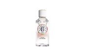 Körperpflege - Roger & Gallet Feuille de Figuier Fragrance Water 100 ml - 3701436907938