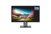 Bildschirm - 32" Lenovo ThinkVision P32UD-40 - 3840x2160 (4K) - 120Hz - IPS - 140W USB-C - KVM switch - 64A8XAT2EU