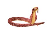 Plush - Wild Republic Plush Toy Snakes 137 cm Foil Cobra - 27368