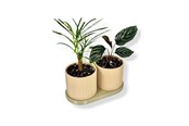 Einrichtung - Simiu TWINDA - Double Planter in beige and light olive - 8.5cm - 5714255012392