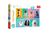 Puzzle - Trefl Puzzle - In the world of dogs (100 pieces) - TFL16421