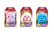 Pools - Happy Pets Colourful Cutie Pal 3 asst. - 602515