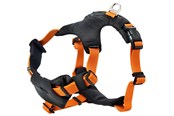 Hunde - Dogman Emmi - 213705