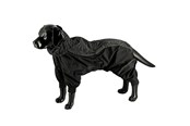 Hunde - Dogman Dot - 757032