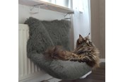 Katzen - Dogman 804960 dog / cat bed - 804960