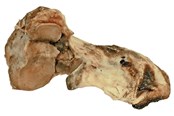 Hunde - Dogman Rinder-Knöchelknochen - 480688