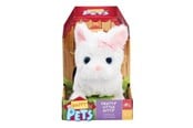 Dolls & Accessories - Happy Pets Pretty Little Kitty – White kitten - 602523