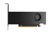 Grafikkarte - Dell RTX PRO 2000 Blackwell Workstation Edition - 16GB GDDR7 RAM - Grafikkarte - DELL-818KR
