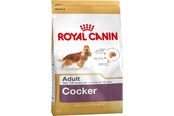 Hunde - Royal Canin Adult Cocker - dry dog food - 12 kg - 3182550811538