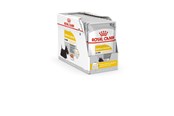 Hunde - Royal Canin Dermacomfort - Wet dog food - 12 x 85 g - 9003579008812