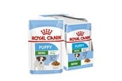 Hunde - Royal Canin SHN Mini Puppy in sauce - wet puppy food - 12X85g - 9003579008201