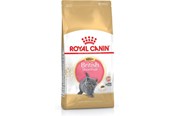 Katzen - Royal Canin British Shorthair Kitten cats - Poultry, Rice, Vegetable - dry food - 2 kg - 3182550816533