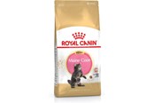 Katzen - Royal Canin Maine Coon Kitten cats dry food - 3182550770941