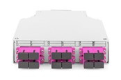 Netzwerkzubehör - DIGITUS fibre-optic distribution box - OM4 assembled with SC adapter and pigtail - DN-963850-4