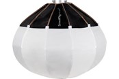 Kameras und Objektivzubehör - SmallRig RA-L65 - 3754