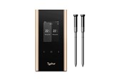 Grill und Zubehör - Typhur Sync Gold Dual - WT05