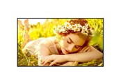 Digital Signage & Hotel - LG 50UL5Q-E Signage Display - 50UL5Q-E